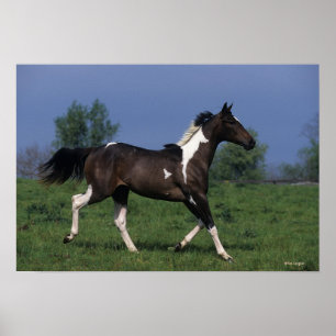 Poster Paint Horse Running 2