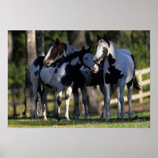 Poster Paint Horses (Frente)