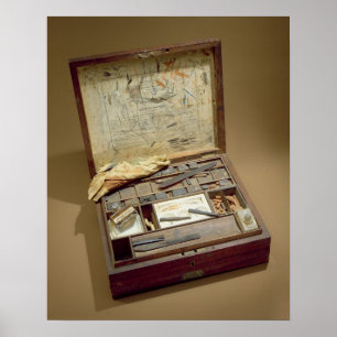 Poster Paintbox de John James Audubon
