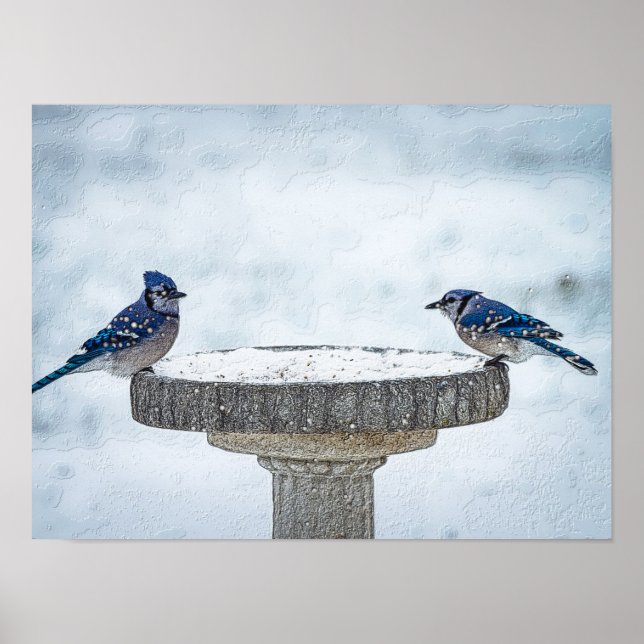 Poster Painterly dos lados opostos (Frente)