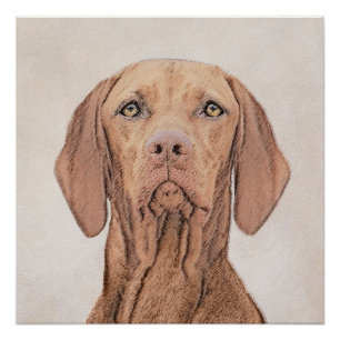 Póster Painting Vizsla - Arte de Cachorro Original