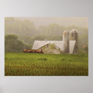 Póster País - Agricultura do Amish
