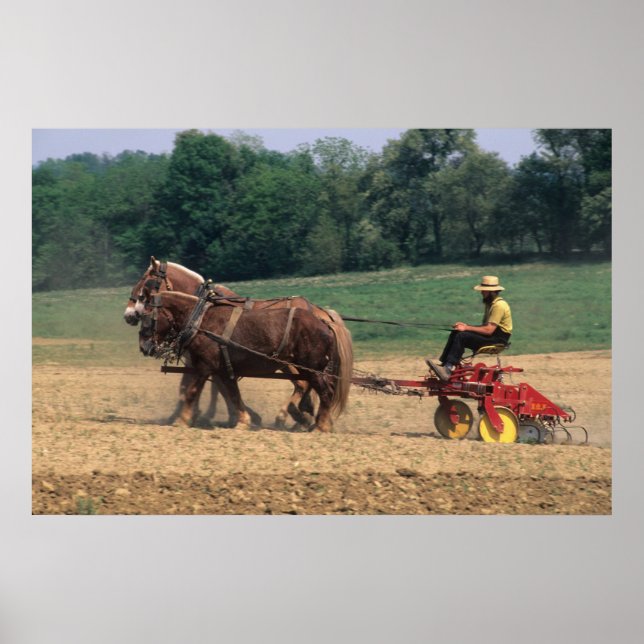 Póster País Amish pessoas simples na agricultura com (Frente)