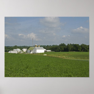 Poster País da Pensilvânia