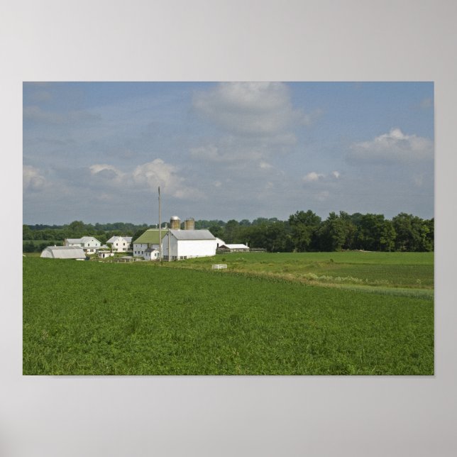 Poster País da Pensilvânia (Frente)