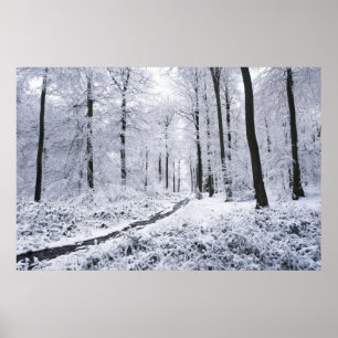 Póster País das maravilhas do inverno