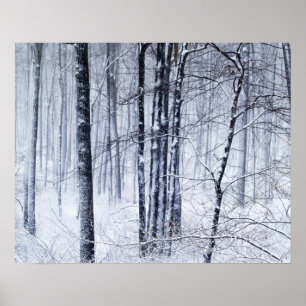 Póster País das maravilhas do inverno