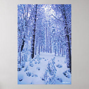 Poster País das maravilhas do inverno