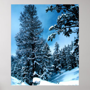 Poster País das maravilhas do inverno