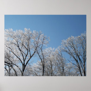 Póster País das maravilhas do inverno com árvores