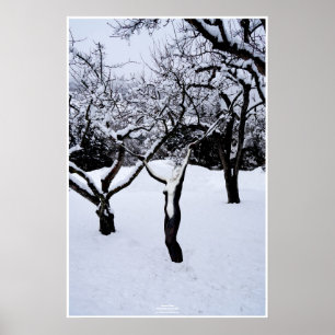 Póster País de inverno by Johannes Stötter