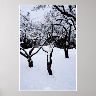 Póster País de inverno by Johannes Stötter