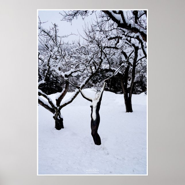 Póster País de inverno by Johannes Stötter (Frente)