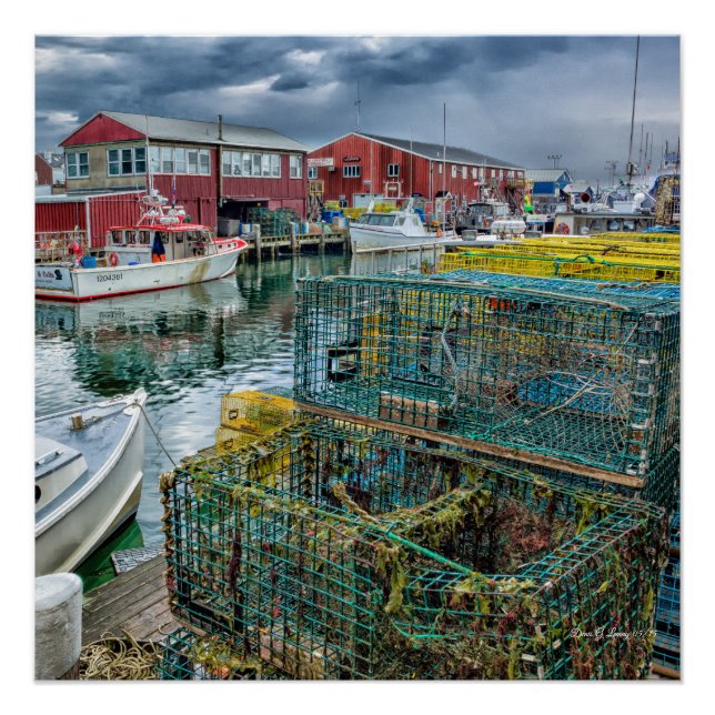 Póster País de lagosta (Frente)