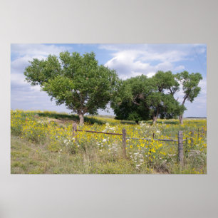 Póster País de Oklahoma