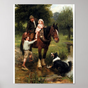 Poster País do cão do collie do cavalo da família