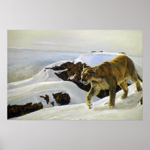 Poster País do charuto