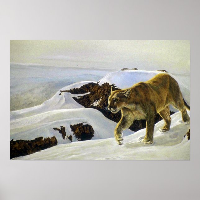 Poster País do charuto (Frente)