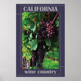 Poster País do Vinho da Califórnia