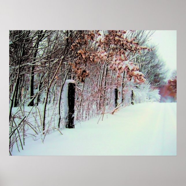 Poster País Frio (Frente)