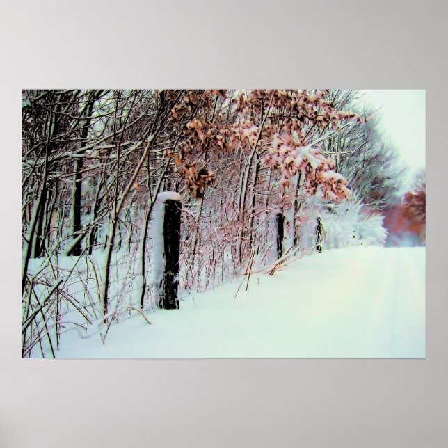 Poster País Frio (Frente)