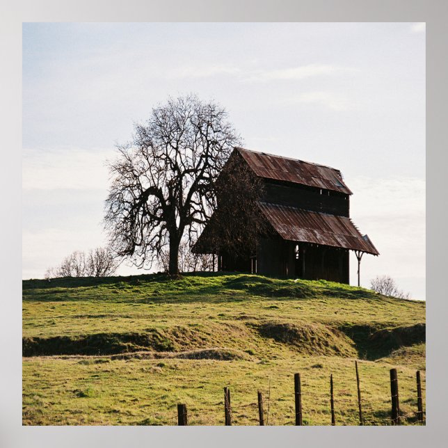 Poster País no outono...... (Frente)