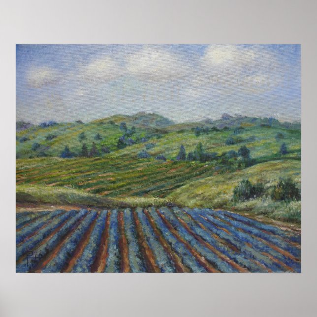 Póster País Vinho (Frente)