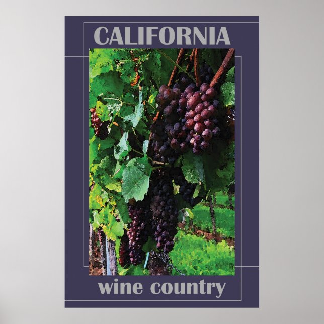 Poster País Vinho da Califórnia (Frente)