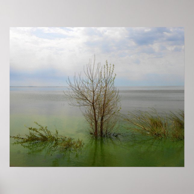 Poster Paisagem (Frente)