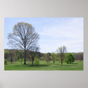Póster Paisagem