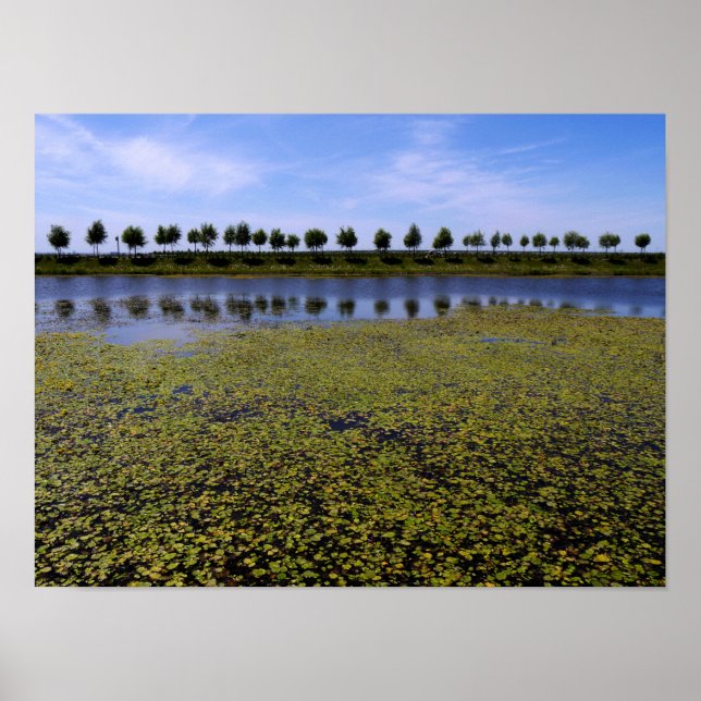 Póster Paisagem (Frente)