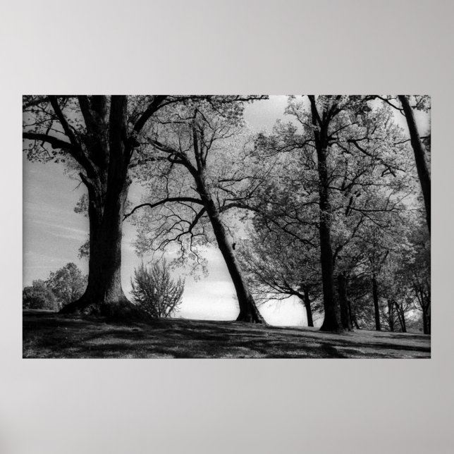 Póster Paisagem (Frente)