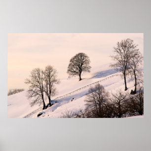POSTER PAISAGEM