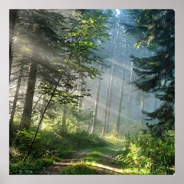 Poster Paisagem (Frente)