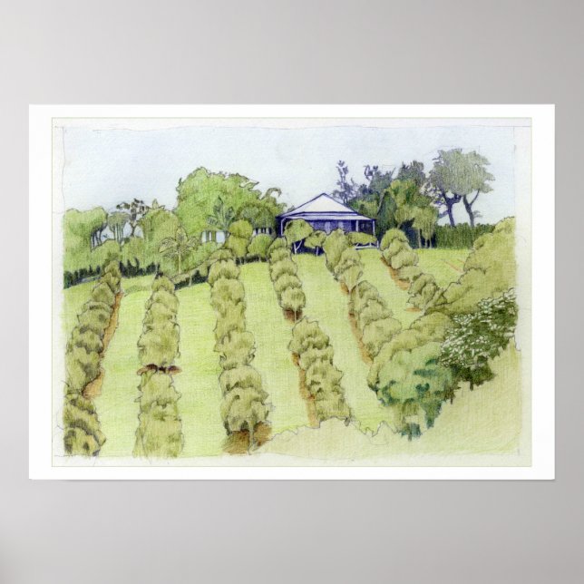 Póster Paisagem (Frente)