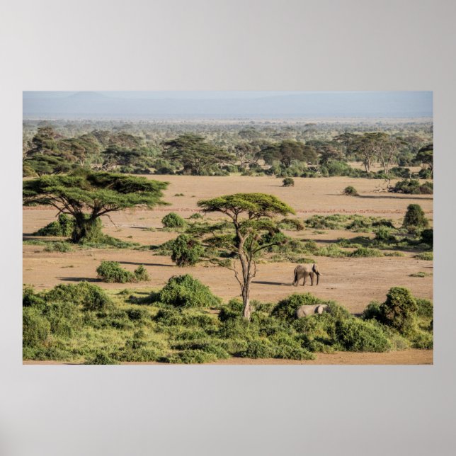 Poster Paisagem Africana com Elefante (Frente)