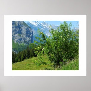 Poster Paisagem alpina na Suiça