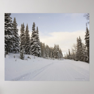 Póster Paisagem coberto de neve