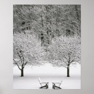 Póster Paisagem coberto de neve