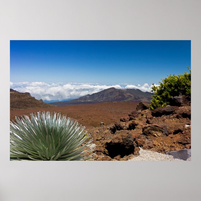 Póster Paisagem com Espada Prateada (Frente)