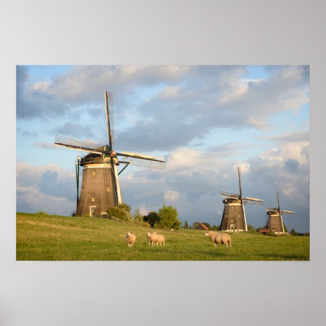 Poster Paisagem com moinhos de vento e ovinos (Frente)
