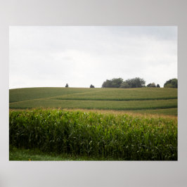 Poster Paisagem Cornfield na Cor do Colinas 16x20