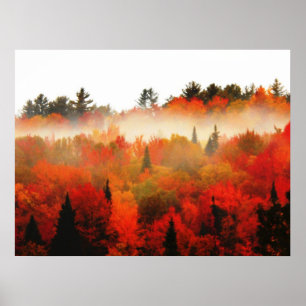 Póster Paisagem da Cena de Adirondacks no Campo de Outono