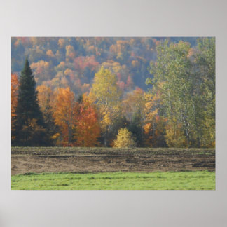 Poster Paisagem da Cena de Adirondacks no Campo de Outono