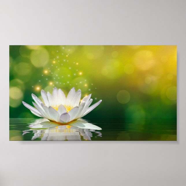 Poster Paisagem da Flor de Lotus Branca, Zen (Frente)