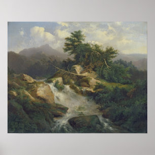 Poster Paisagem da floresta com cachoeira