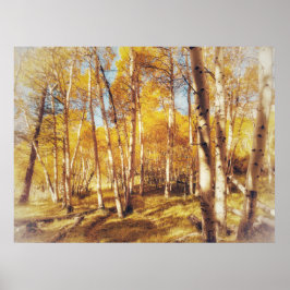 Poster Paisagem da Floresta de Álamo Dourado