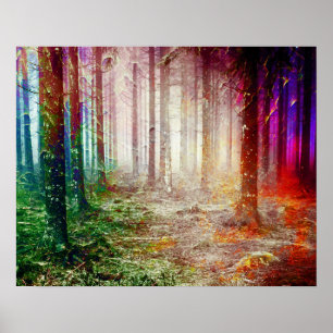 Poster Paisagem da Floresta de Lush