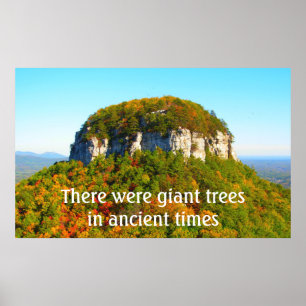 Poster Paisagem da Montanha Pilot e Árvores