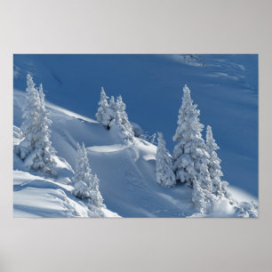 Póster paisagem da neve do inverno